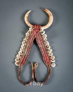 NASSA SHELL AND PIGS TUSK NECKLACE, Papua New Guinea