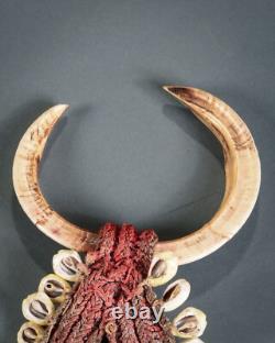 NASSA SHELL AND PIGS TUSK NECKLACE, Papua New Guinea
