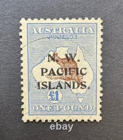 New Guinea SG 99 £1 Chocolate & Dull Blue Kangaroo CDS USED CAT £475
