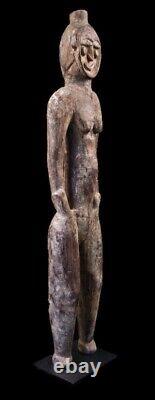 Nogwi figure, washkuk hills, Kwoma, tribal art, papua new guinea