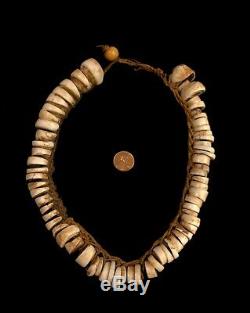Old Antique Papua New Guinea Sepik River Conus Shell Necklace