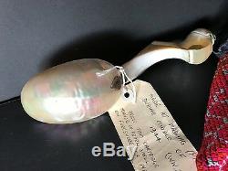 Old Papua New Guinea 1944 WW II Sea Shell Spoon beautiful collection piece