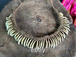 Old Papua New Guinea Ceremonial Dogs Fang Necklace. Beautiful collection and dis