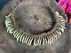 Old Papua New Guinea Ceremonial Dogs Fang Necklace. Beautiful collection and dis