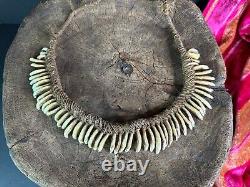 Old Papua New Guinea Ceremonial Dogs Fang Necklace. Beautiful collection and dis