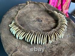 Old Papua New Guinea Ceremonial Dogs Fang Necklace. Beautiful collection and dis