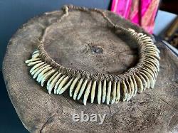 Old Papua New Guinea Ceremonial Dogs Fang Necklace. Beautiful collection and dis