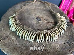 Old Papua New Guinea Ceremonial Dogs Fang Necklace. Beautiful collection and dis