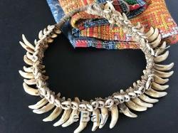 Old Papua New Guinea Dogs Fang Necklace beautiful & unique collection piece