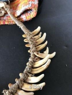 Old Papua New Guinea Dogs Fang Necklace beautiful & unique collection piece