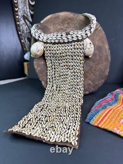 Old Papua New Guinea Highlands Cowrie Shell Ceremonial Chest Piece