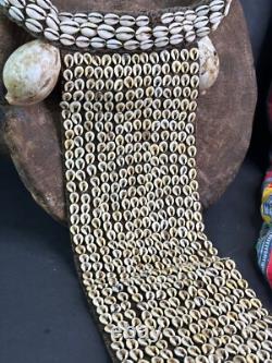 Old Papua New Guinea Highlands Cowrie Shell Ceremonial Chest Piece