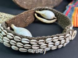 Old Papua New Guinea Highlands Cowrie Shell Ceremonial Chest Piece