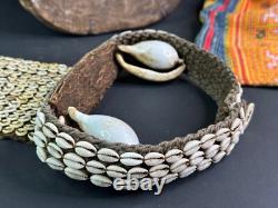 Old Papua New Guinea Highlands Cowrie Shell Ceremonial Chest Piece