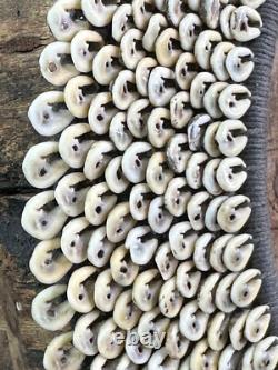 Old Papua New Guinea Highlands Cowrie Shell Ceremonial Collar Neck Piece