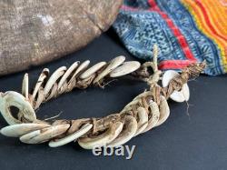 Old Papua New Guinea Kina Shell Coin Bracelet