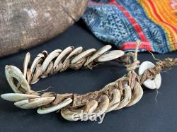 Old Papua New Guinea Kina Shell Coin Bracelet