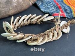 Old Papua New Guinea Kina Shell Coin Bracelet
