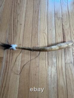 Old Papua New Guinea Penis Sheath Gourd Koteka Decorated With Feather