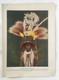 Old Papua New Guinea Print Bereina Roro Dancer 1890s PNG Tribal Art DNG