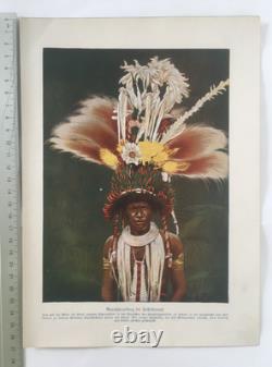 Old Papua New Guinea Print Bereina Roro Dancer 1890s PNG Tribal Art DNG