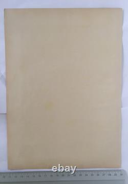 Old Papua New Guinea Print Bereina Roro Dancer 1890s PNG Tribal Art DNG