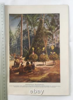 Old Papua New Guinea Print Tolai Dukduk Dancers Rabaul 1890s PNG Art RARE