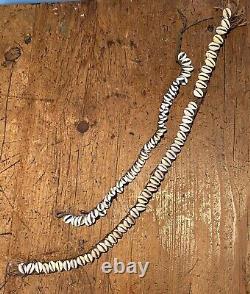 Old Papua New Guinea Shell Necklace And Waist Belt Marriage Ceremony Ornaments