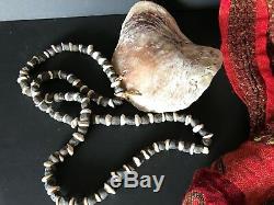 Old Papua New Guinea Western Highlands Kina Shell Necklace beautiful collection