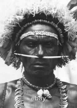 Old Papua new Guinea Nose Adornment made of Shell Papuan Gulf