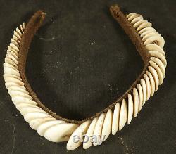 Old Papuan Gulf Conus shell headband Papua New Guinea