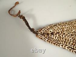 Old Shell Belt And Headband Middle Sepik River Papua New Guinea Png #1