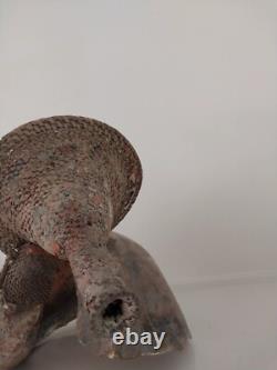 Old Talipun, Papua New Guinea Turbo Marmoratus Snail, Wattle Talipun