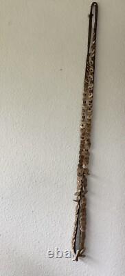 Old shell Money Belt, Conus Shells, Yangoru Papua New Guinea