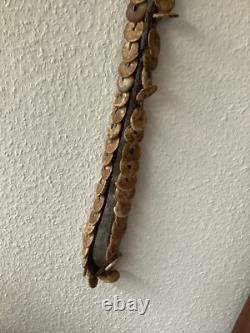 Old shell Money Belt, Conus Shells, Yangoru Papua New Guinea
