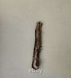 Old shell Money Belt, Conus Shells, Yangoru Papua New Guinea