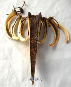 Olld Papua New Guinea CEREMONIAL HORNBILL Wild Boar Tusk Necklace Tribal