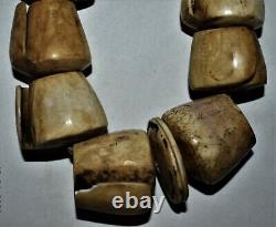 Orig $399-papua New Guinea Conus Shell Money Necklace 1900s 8 Prov