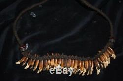 Orig $399-papua New Guinea Dog Tooth Necklace 1900s 16 Prov