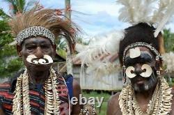 Orig $499 HUGE PAPUA NEW GUINEA DANCE STAFF, croc tooth EARLY 1900S 27 PROV