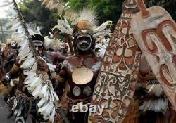 Original Carved Handheld Ceremonial Shields Papua New Guinea Asmat Tribe