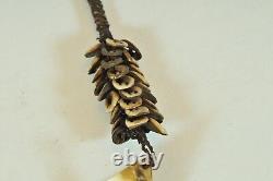 Original Seashell Necklace, Papua New Guinea, tribal art