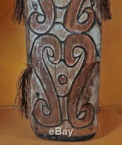 Original War Shield, Tameng, Papua New Guinea, Asmat Tribe