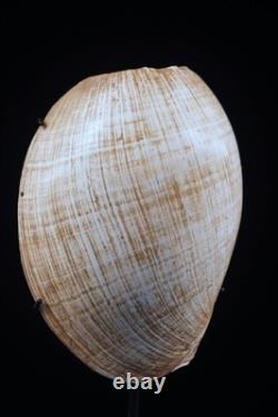 Ornement corporel, traditional ornament, papua new guinea, tribal art, 18 cm