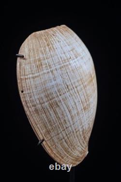 Ornement corporel, traditional ornament, papua new guinea, tribal art, 18 cm