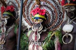 Ornement corporel, traditional ornament, papua new guinea, tribal art, 18 cm