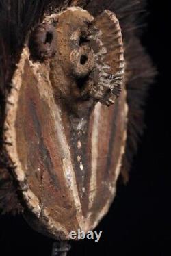 Ornement traditionnel, traditional ornament, oceanic art, papua new guinea