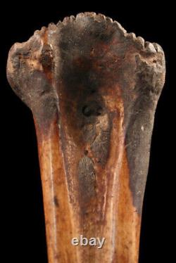 Os sculpté, carved tool, oceanic art, primitive art, Papua New guinea