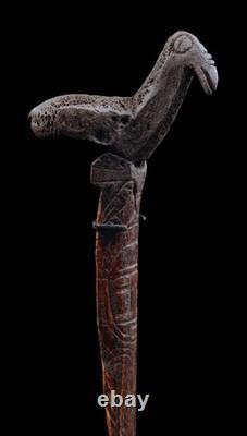 Os sculpté, oceanic art, tribal art, Oceania, Papua New Guinea, 36,5 cm
