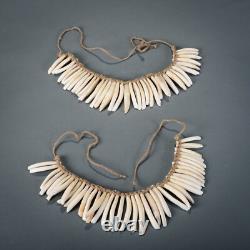 PIGS TEETH NECKLACE, Imbonggu tribe, Southern Highlands, Papua New Guinea
